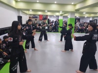 ROAD FC MMA 상승합기도 특공무술