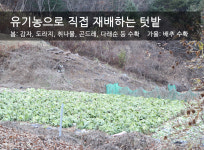 황토마을
