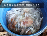 황토마을