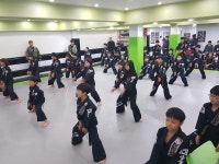 ROAD FC MMA 상승합기도 특공무술