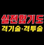 정안합기도