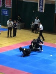 정안합기도