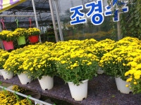 수성조경농원