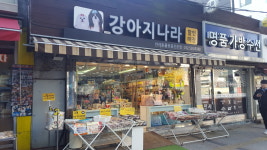 강아지나라