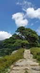 선인당