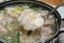 속초곰치국