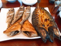 더자반