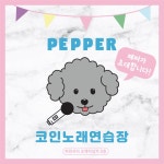 페퍼코인노래연습장