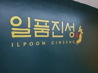 일품진성
