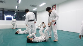그레이시 주짓수 청라