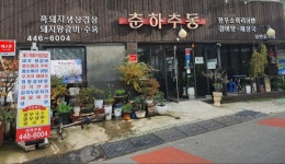 춘하추동