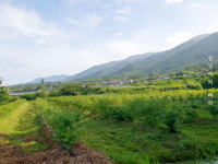 지리산베리닷컴