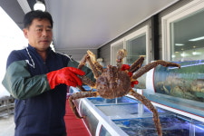 대게닷컴