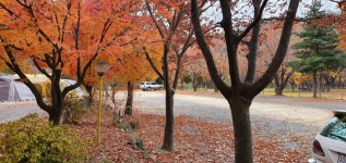 기산골캠핑장