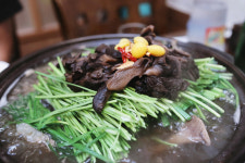 또오리