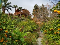 중문그린힐통나무펜션