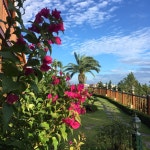 중문그린힐통나무펜션