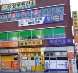 금성부동산