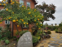 중문그린힐통나무펜션