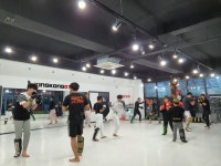 언더독MMA