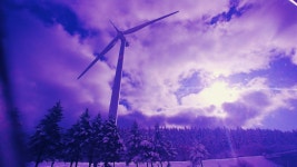 클래식지니하우스