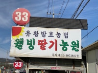 웰빙딸기농원