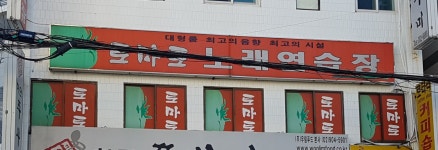 토마토노래연습장