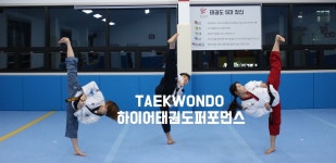 국가대표 하이어태권도장