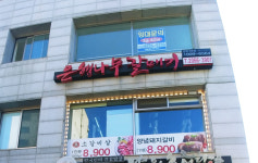 은행나무 갈매기 광명8호점