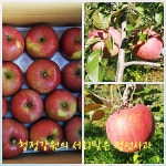 시영이와 지율이의 행복을 키우는 농장