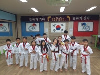 용인대석사태권도