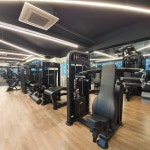 렉스 코리아 휘트니스헬스