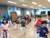 용인대석사태권도