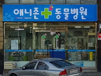 애니존 동물병원