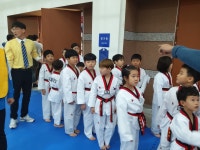 용인대석사태권도