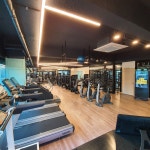 렉스 코리아 휘트니스헬스