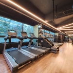 렉스 코리아 휘트니스헬스