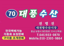 대풍수산