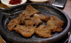 가마본가