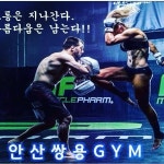 쌍용킥복싱