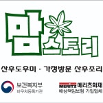 맘스토리 인천경기