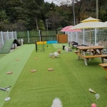 퍼피랜드애견카페