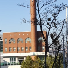 신기교회