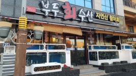 부두회수산