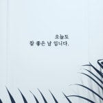 더제이 왁싱&스킨케어