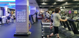 궁전라벤더