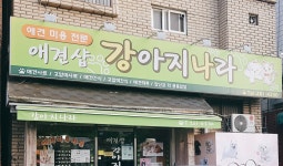강아지나라