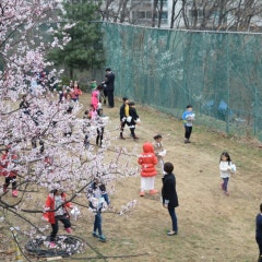 산돌교회