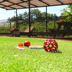 파인힐애견펜션