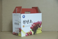 햇빛건강식품천년초 건강원